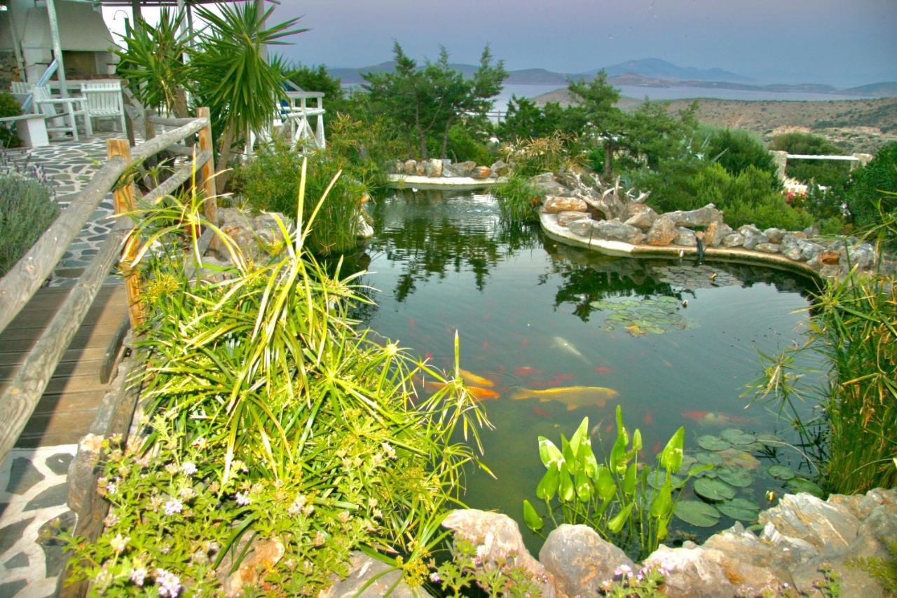 Villa Zografos Irakleia  Exteriér fotografie