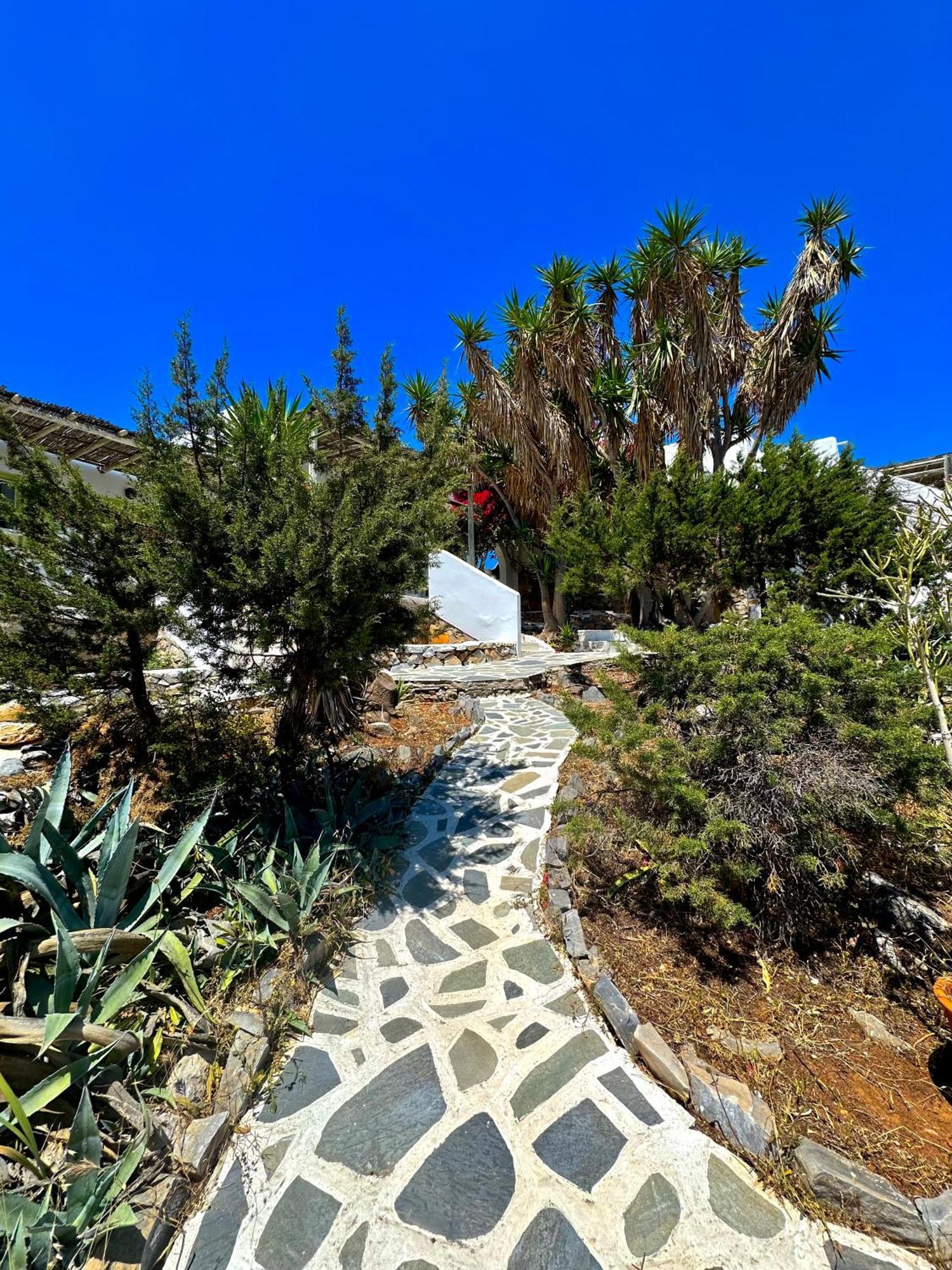 Villa Zografos Irakleia  Exteriér fotografie